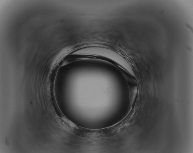 X0000091940197200709191426