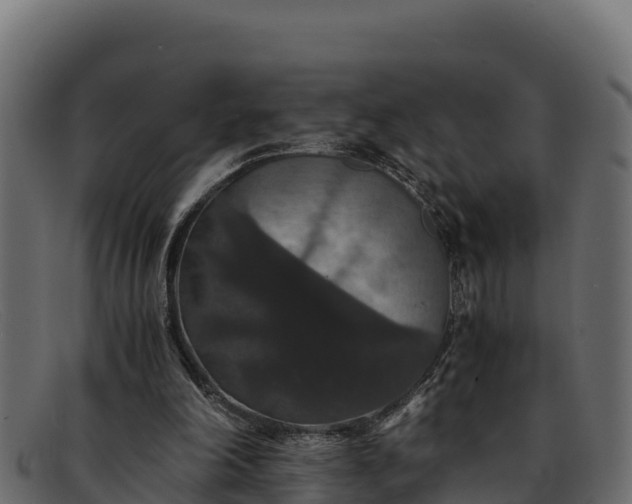 X0000091940198200709191426