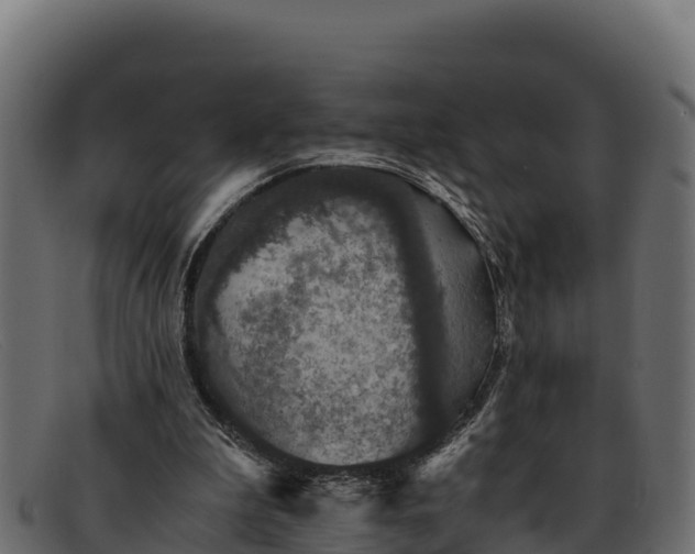 X0000091940199200709191426