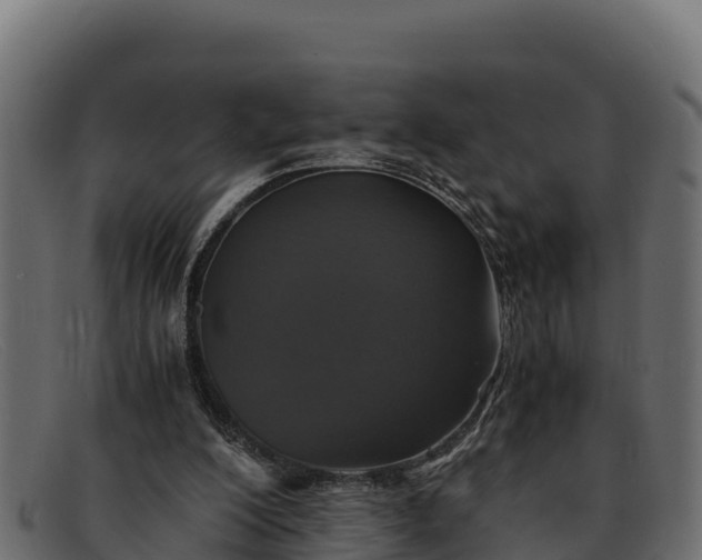 X0000091940200200709191426