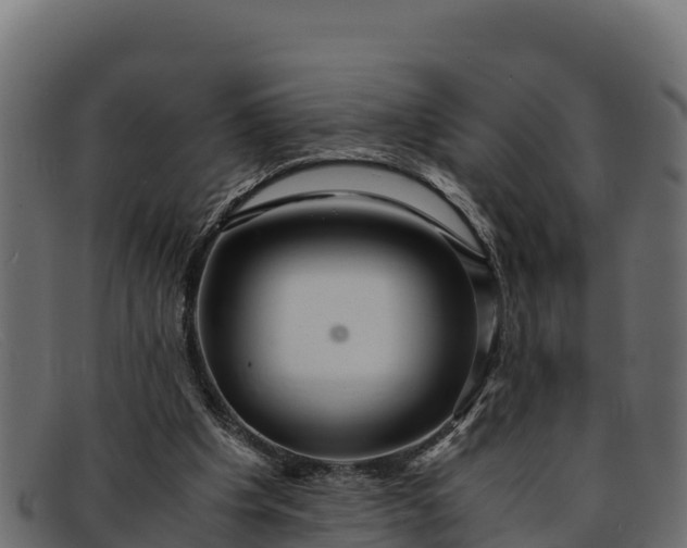 X0000091940201200709191426