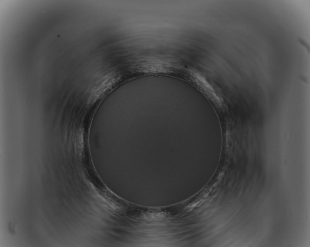 X0000091940202200709191426