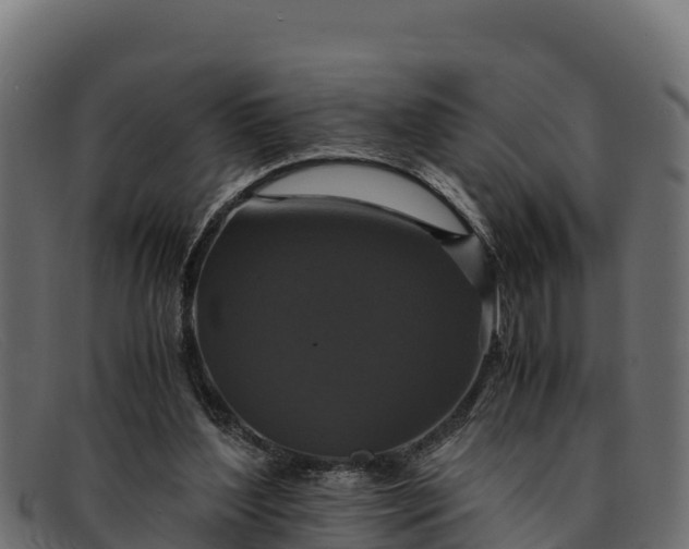 X0000091940204200709191426