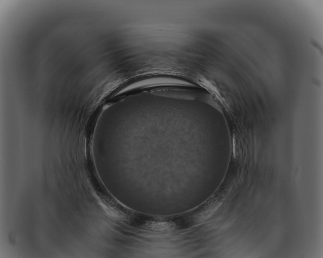 X0000091940205200709191426