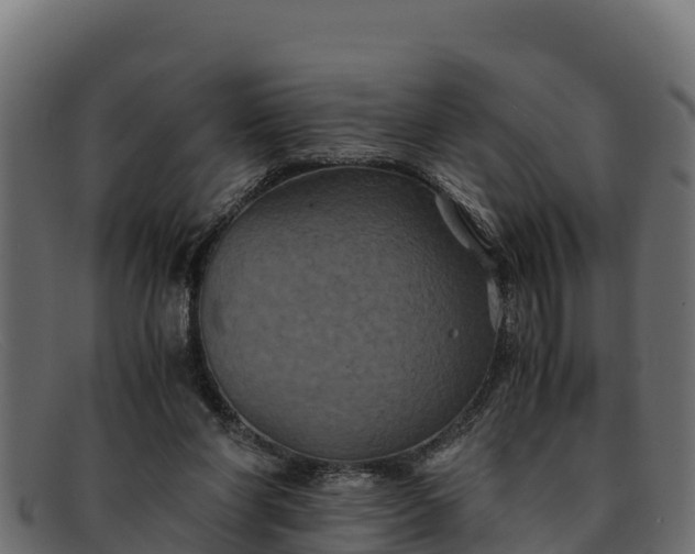 X0000091940206200709191426