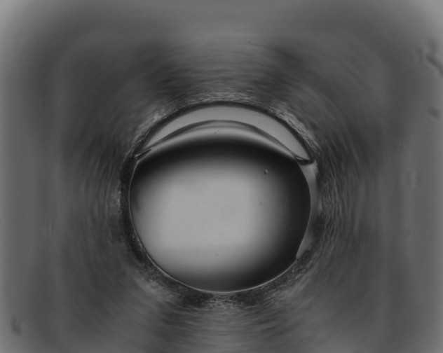 X0000091940207200709191426