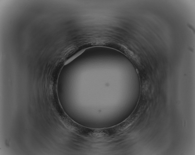 X0000091940209200709191426