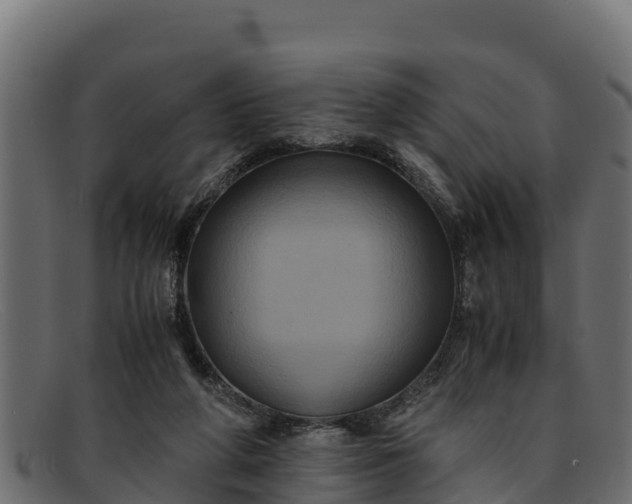 X0000091940210200709191426