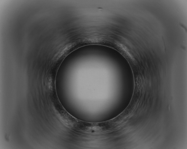 X0000091940212200709191426