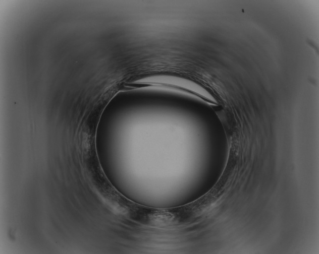 X0000091940215200709191426