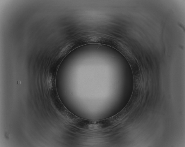 X0000091940216200709191426