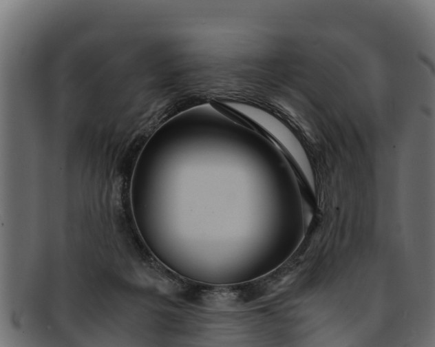 X0000091940217200709191426