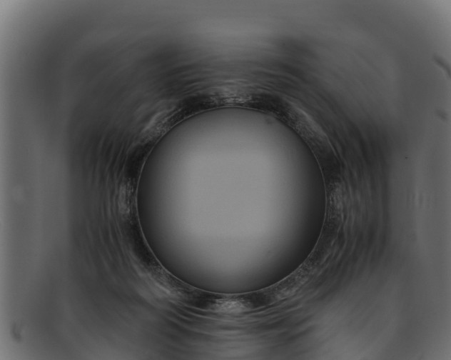 X0000091940218200709191426