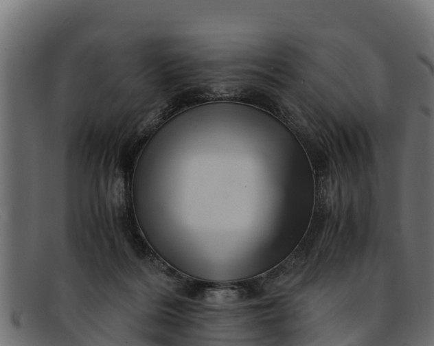 X0000091940220200709191426