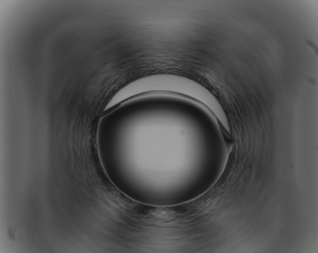 X0000091940221200709191426