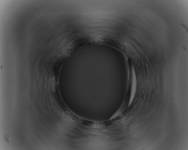 X0000091940223200709191426