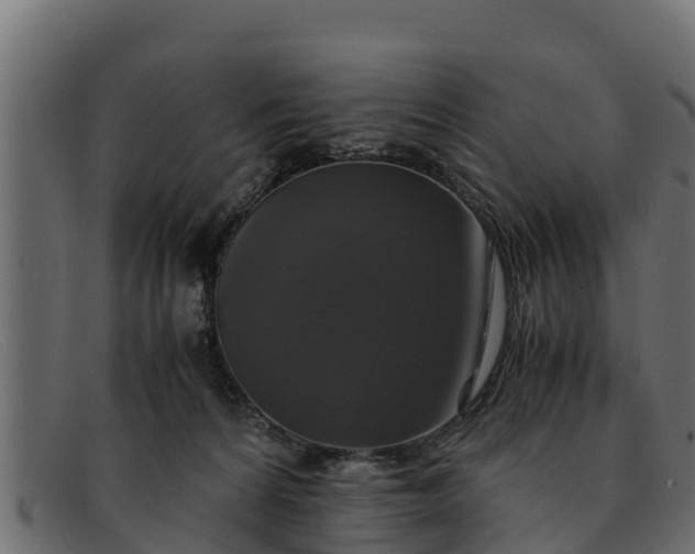 X0000091940224200709191426