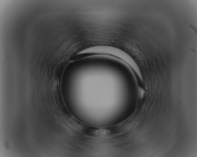 X0000091940225200709191426