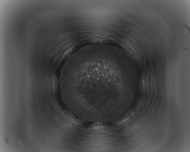 X0000091940228200709191426