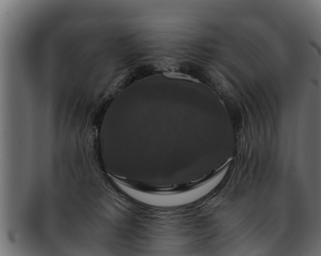 X0000091940229200709191426