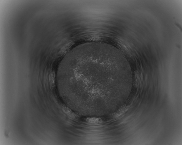 X0000091940230200709191426