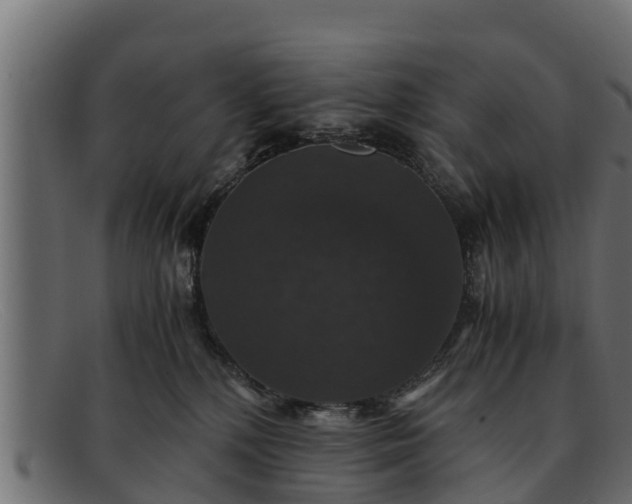 X0000091940232200709191426