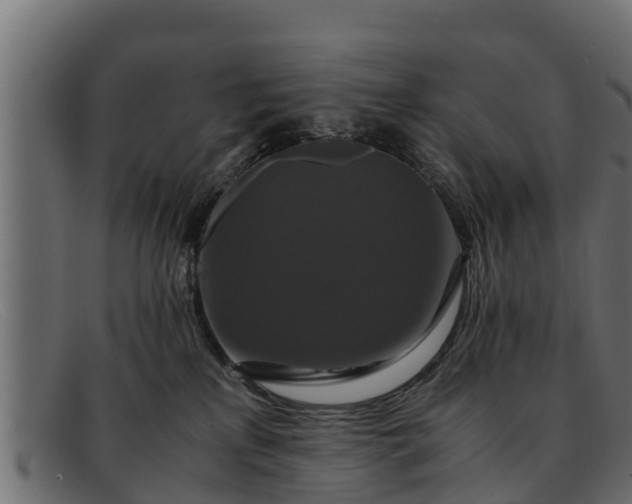 X0000091940233200709191426