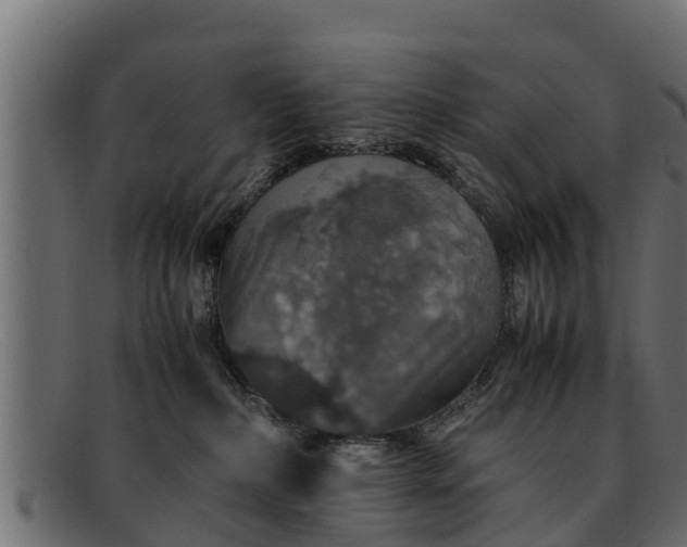 X0000091940236200709191426