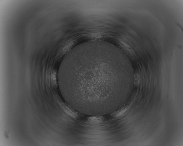 X0000091940238200709191426