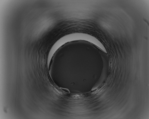 X0000091940239200709191426