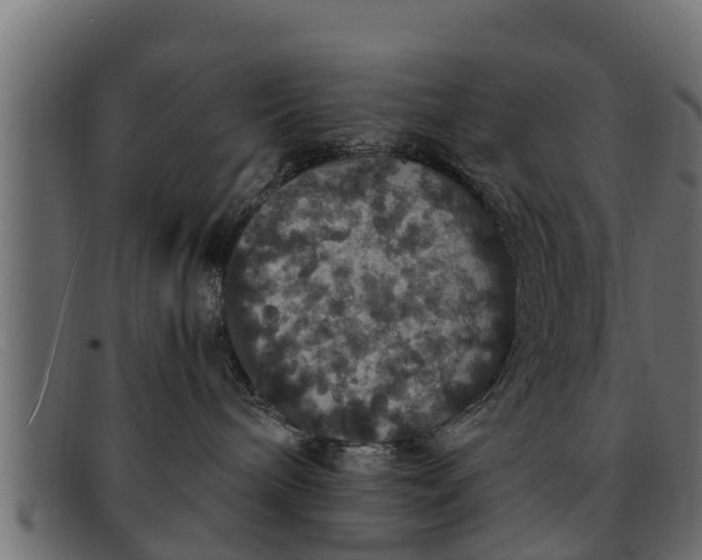 X0000091940240200709191426