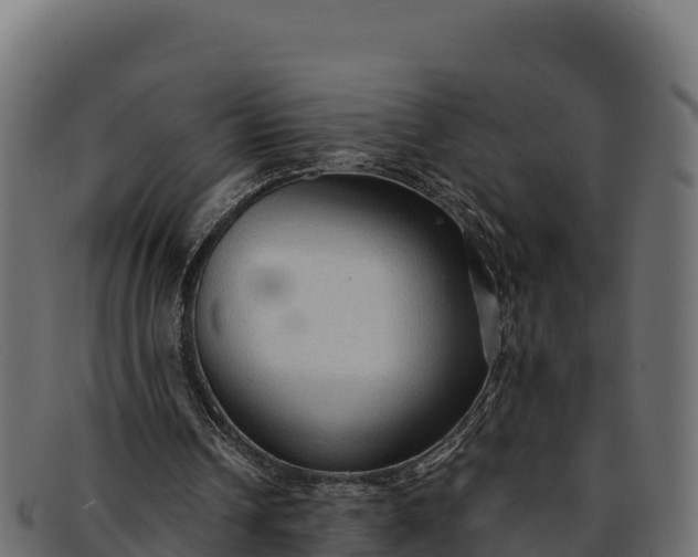 X0000091940242200709191425