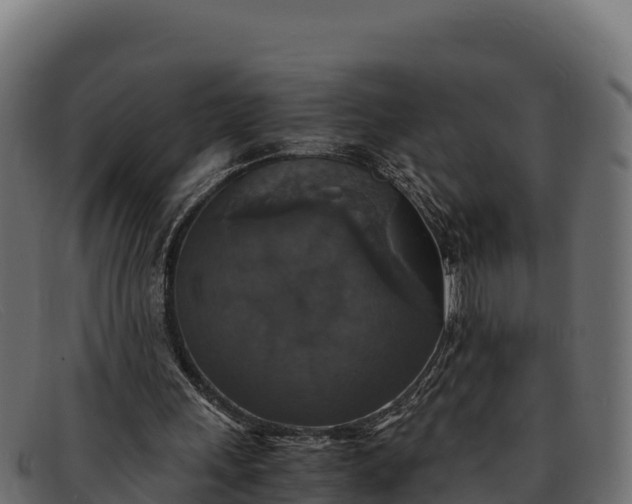 X0000091940243200709191425