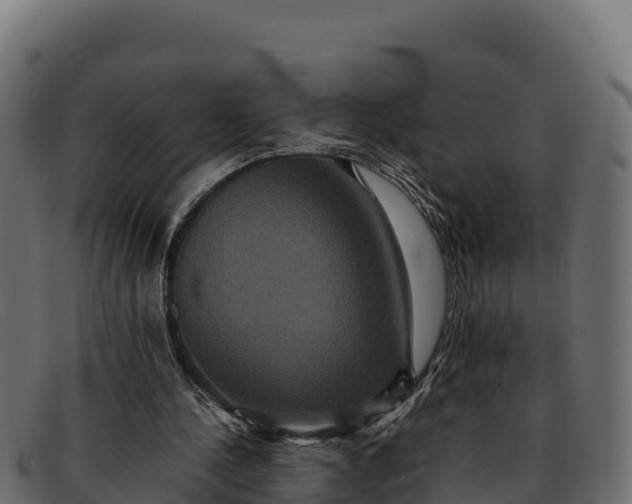 X0000091940244200709191425