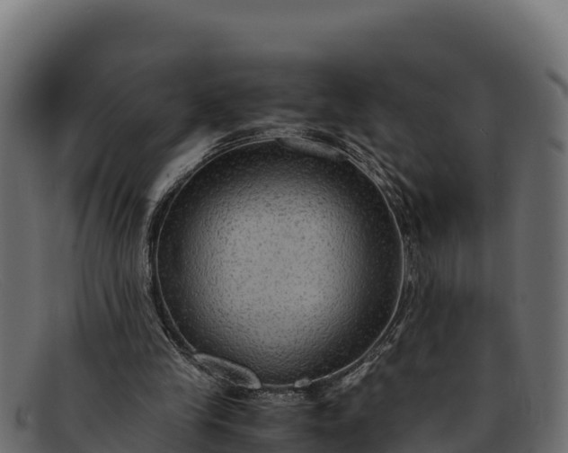 X0000091940245200709191425