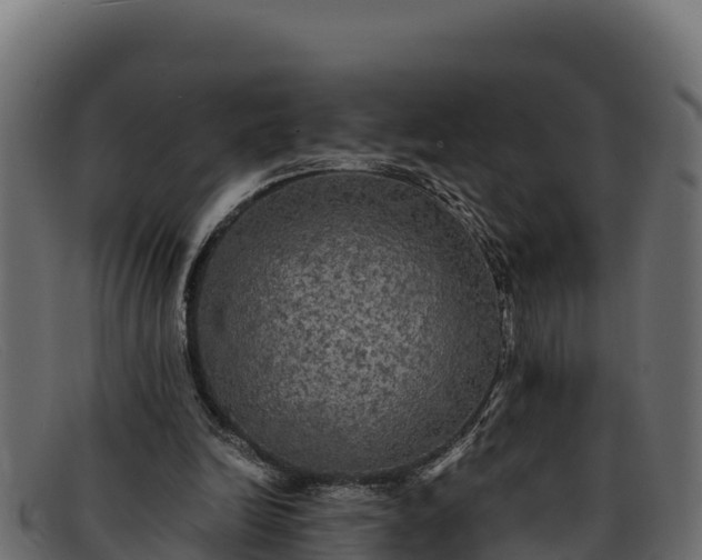 X0000091940246200709191425