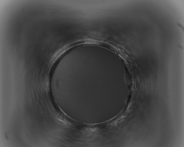 X0000091940247200709191425