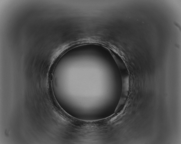 X0000091940248200709191425