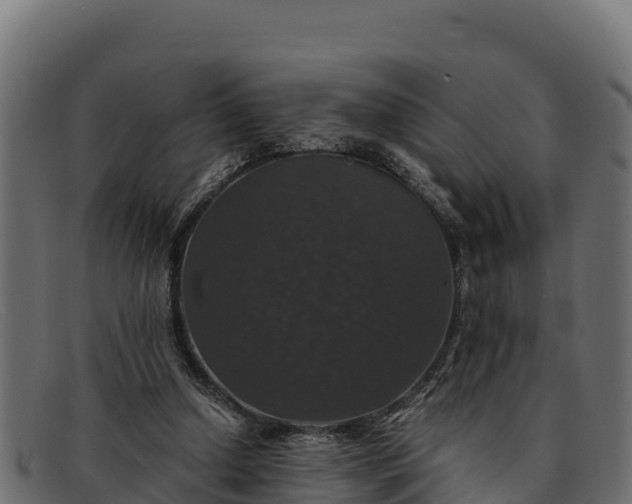 X0000091940250200709191425