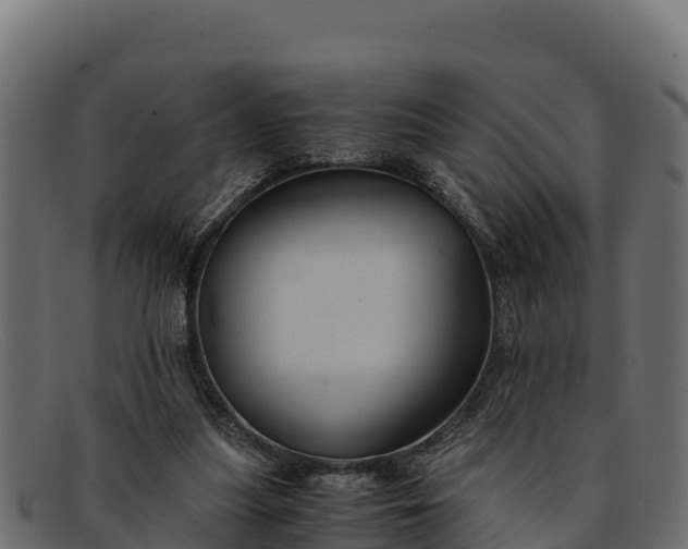 X0000091940251200709191425