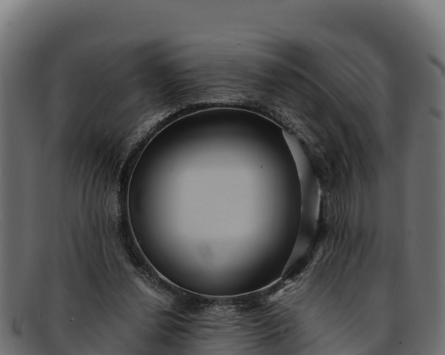 X0000091940252200709191425