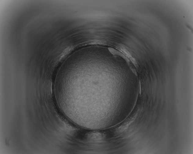 X0000091940253200709191425