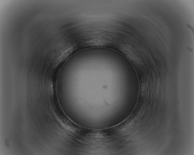 X0000091940254200709191425