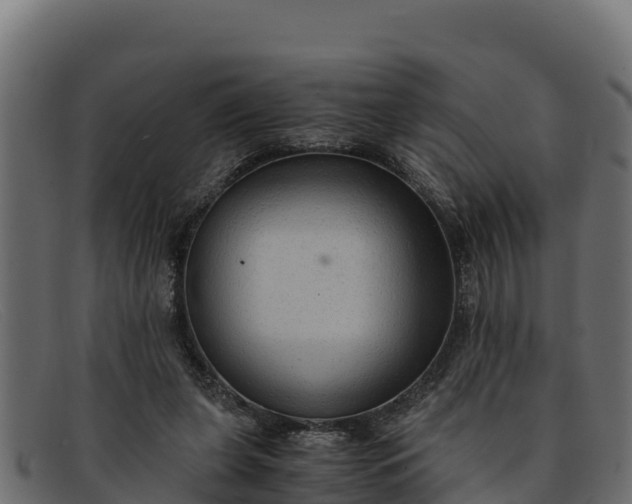 X0000091940255200709191425