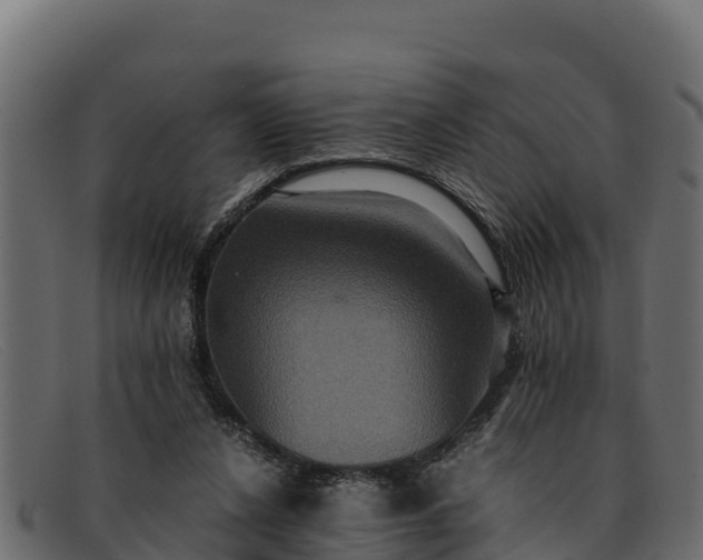 X0000091940256200709191425