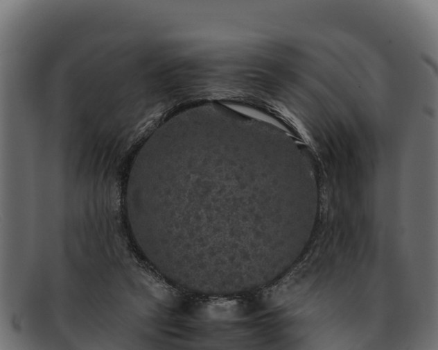 X0000091940257200709191425