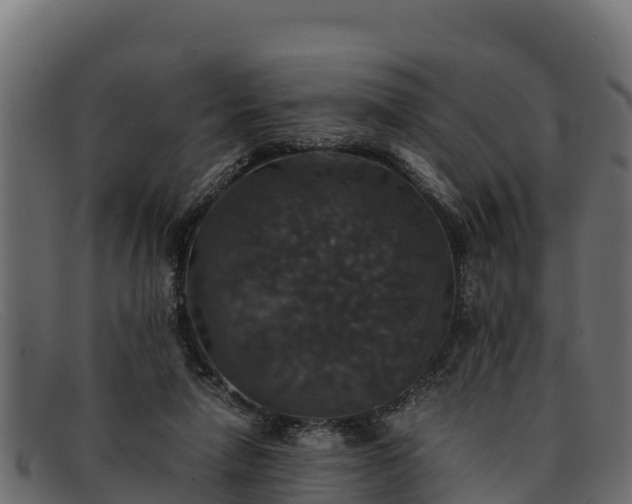 X0000091940258200709191425