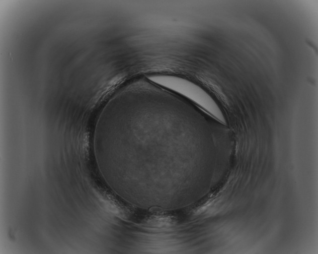 X0000091940260200709191425