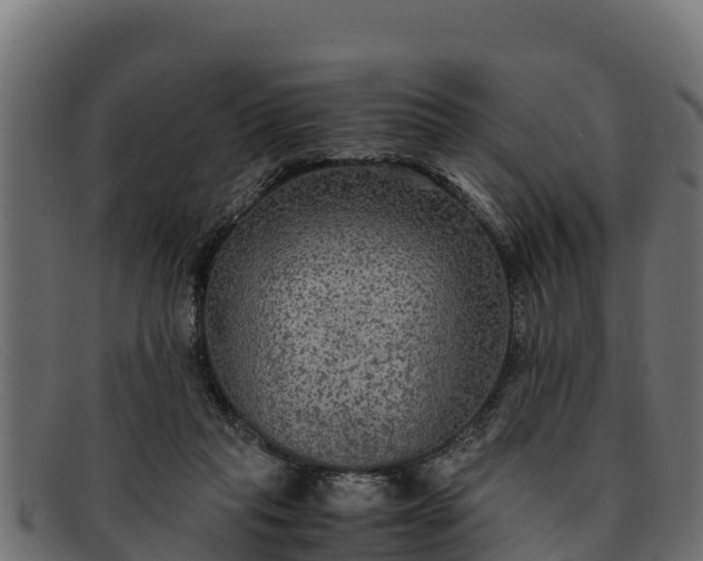 X0000091940261200709191425