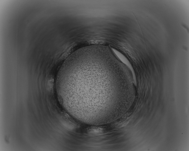 X0000091940263200709191425